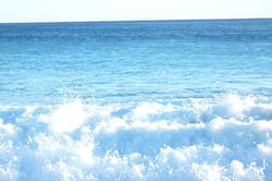 Picasa - FB_IMG_1439524410113.jpg