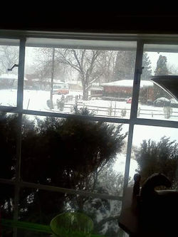 FB_IMG_1537164892541