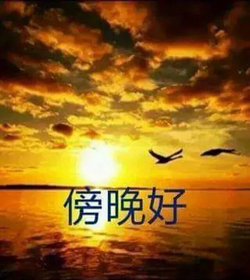 c02b8c_47dd643f9dbe4e2a9d2c81ba745e001e.