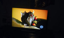 Picasa - 20150305_205723.jpg