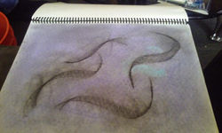 Picasa - 20150302_161955.jpg