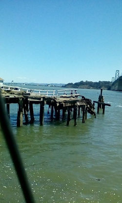 18449751_267786496963035_245315524060120