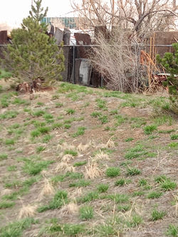 IMG_20210427_121518_742