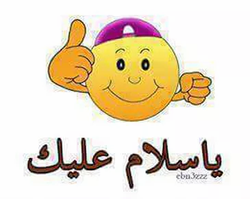 c02b8c_23fbeaf44926445ab677b2741cb9ca3f-