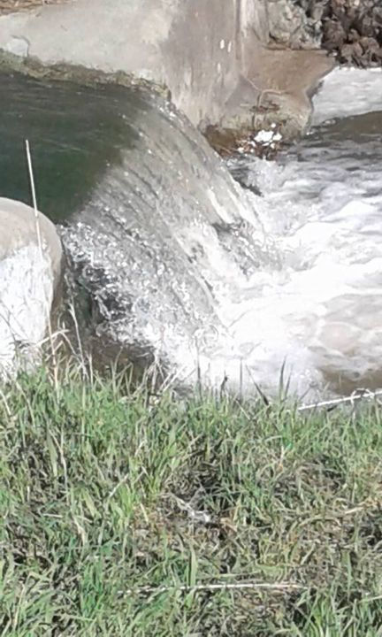 13178589_117652488643104_379575672954552