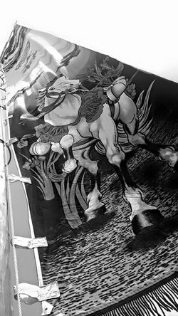 Picasa - FB_IMG_1430486258010.jpg