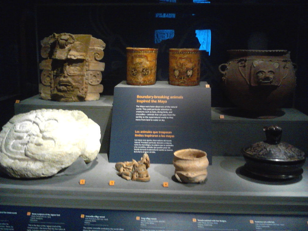 IMG_20140622_142252 (2015_09_18 01_49_55