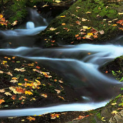 Picasa - FB_IMG_1429747222864.jpg