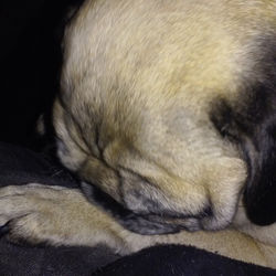 Instagram - My missy