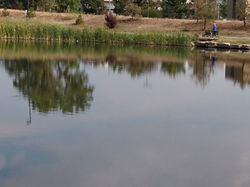 IMG_20200923_102809672