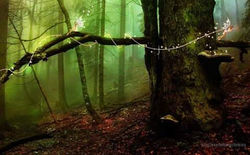 Picasa - FB_IMG_1439523733133.jpg