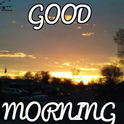 Instagram - Untitled