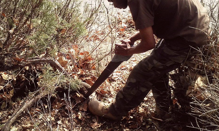 Picasa - 20150317_133623_Burst01-MOTION