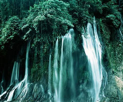 Picasa - FB_IMG_1429747188246.jpg