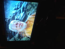 42178439_466783293730020_109200411084193