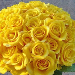 Picasa - FB_IMG_1439069292582.jpg