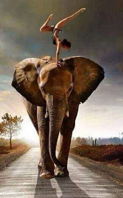 Picasa - FB_IMG_1430152904249.jpg