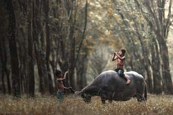 Picasa - FB_IMG_1439522933818.jpg