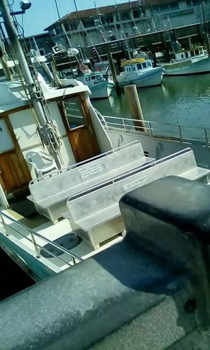 42183032_466783720396644_811477261046775