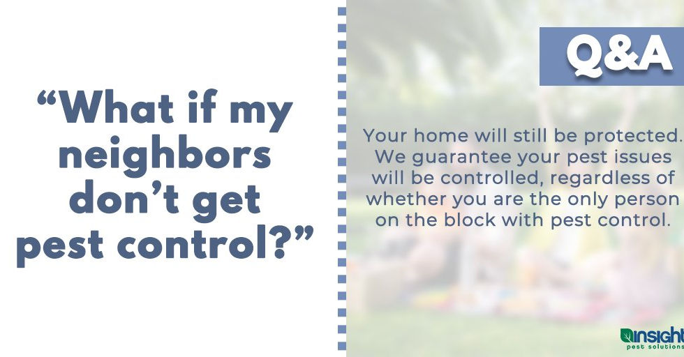 Insight Pest Solutions Q&A graphic. Question: What if my neighbors don't get pest control? Answer: Your home will still be protected. We guarantee your pest issues will be controlled, regardless of whether you are the only person on the block with pest control.
