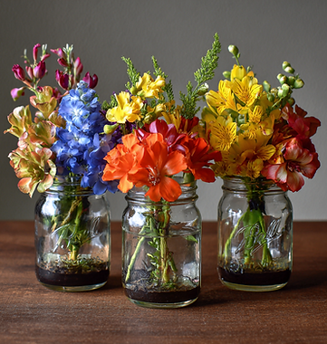 sarah_04402_small_arrangements_of_flowers_in_mason_jars_1a6b980e-3721-4f17-98f2-a6ccbc27e2