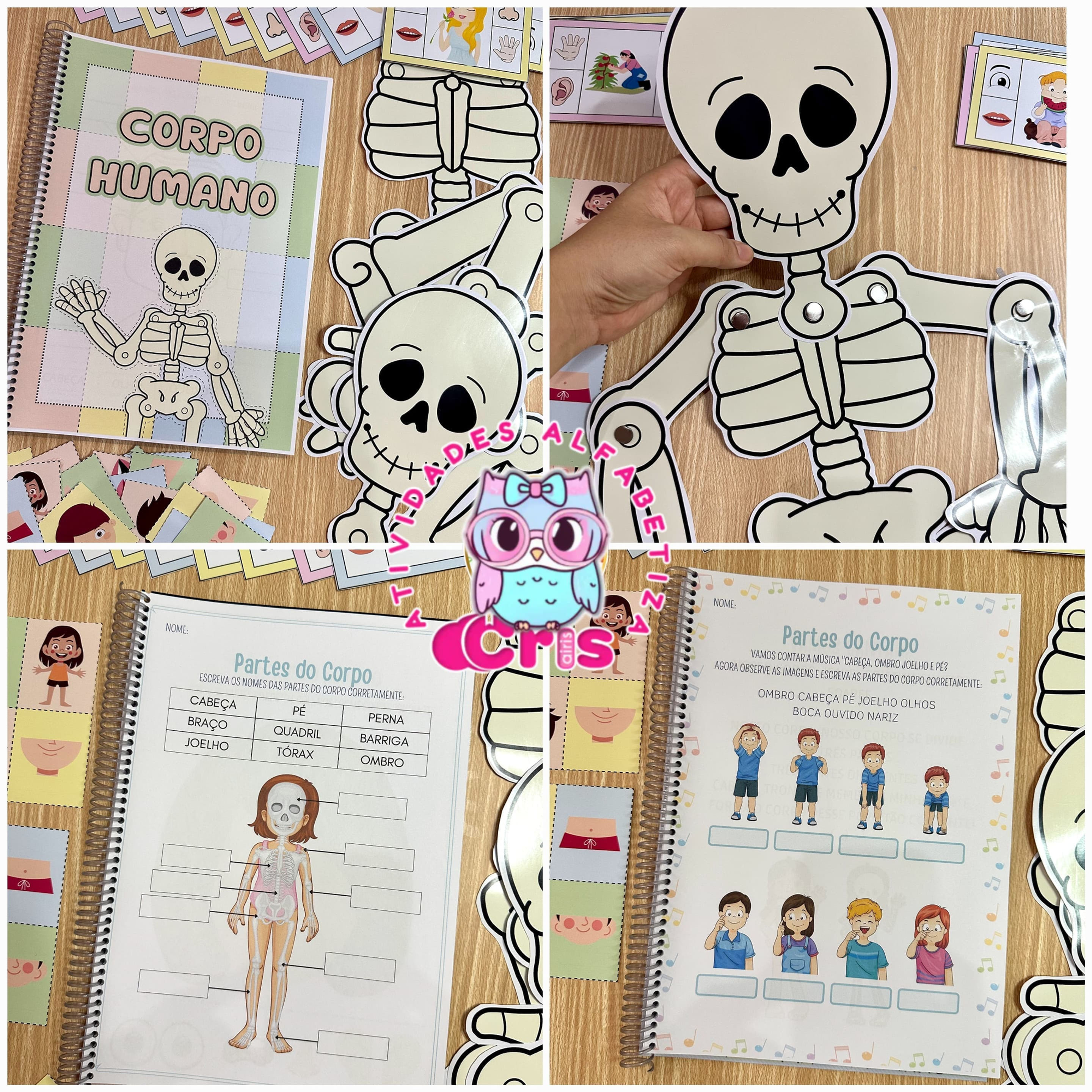 kit Atividades do Corpo Humano👋
