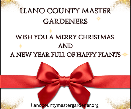 Garden Christmas 2025.png