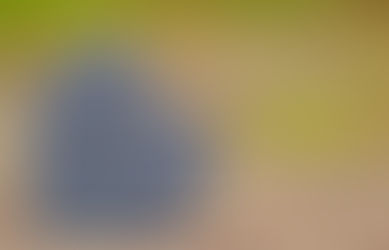 The Five Most Important Reasons to Laugh