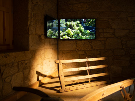 CENTRO DE INTERPRETAÇÃO DO TERRITÓRIO