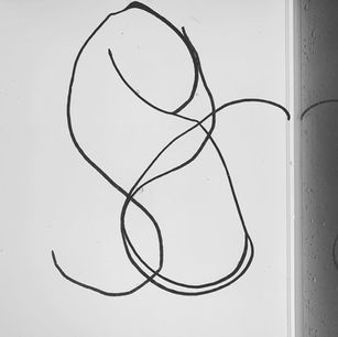 95A58562-F948-43E5-8B10-4BF6AAA67C37.jpg