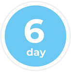 day-06.jpg