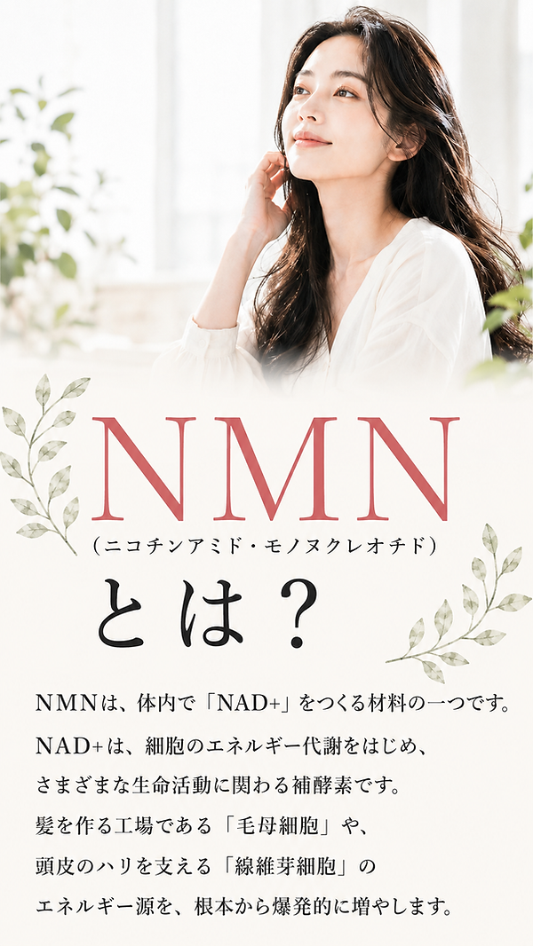 NMN.png