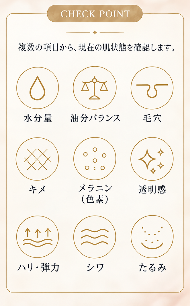 肌分析で確認する主なチェックポイント.png
