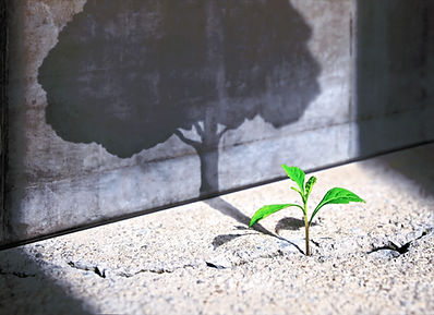 Start, Think Big, Growth Mindset, Recovery and Challenge in Life or Business Concept.Econo