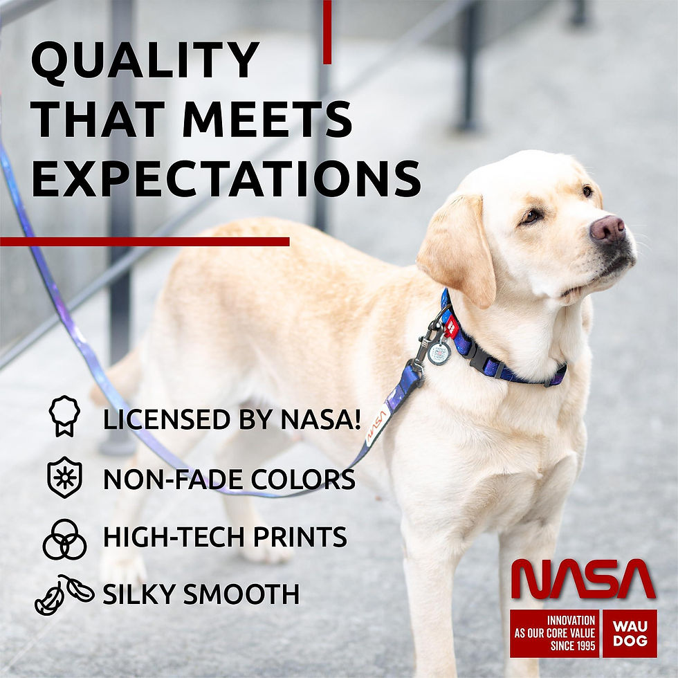Thumbnail: Nylon Dog Leash for Medium and Large Dogs 4 Ft x 1 Wide NASA Design Heavy Duty