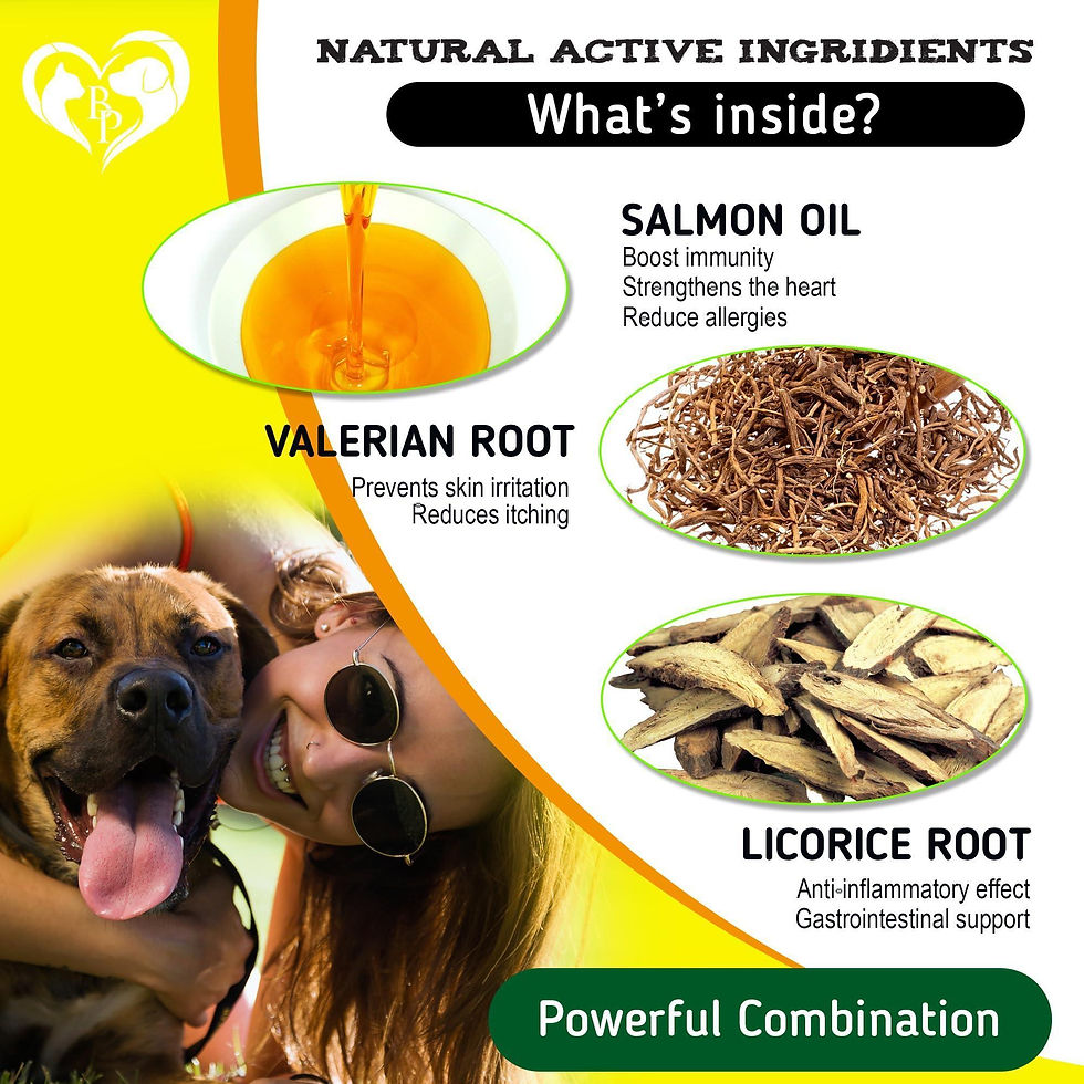 Thumbnail: Dog Anti Itch Allergy Relief Chews Dry Itchy Skin Hot Spot Treatment with Omega3