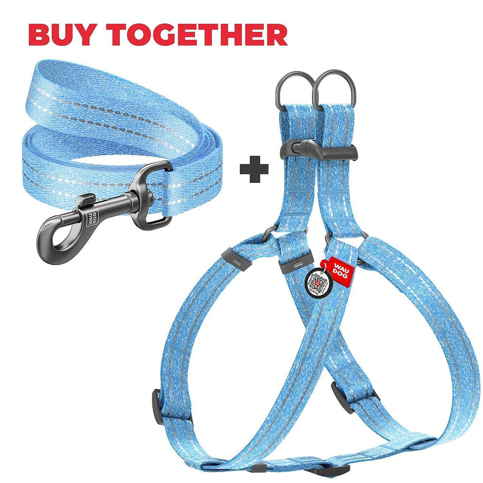Thumbnail: Blue Cotton Dog Harness Eco Friendly Dog Harness for Small Dogs S Size