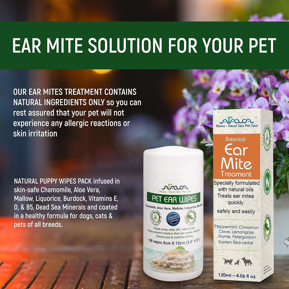 Thumbnail: Natural Ear Mite Treatment for Dogs & Cats Pet Ear Mites Infection Cleaner