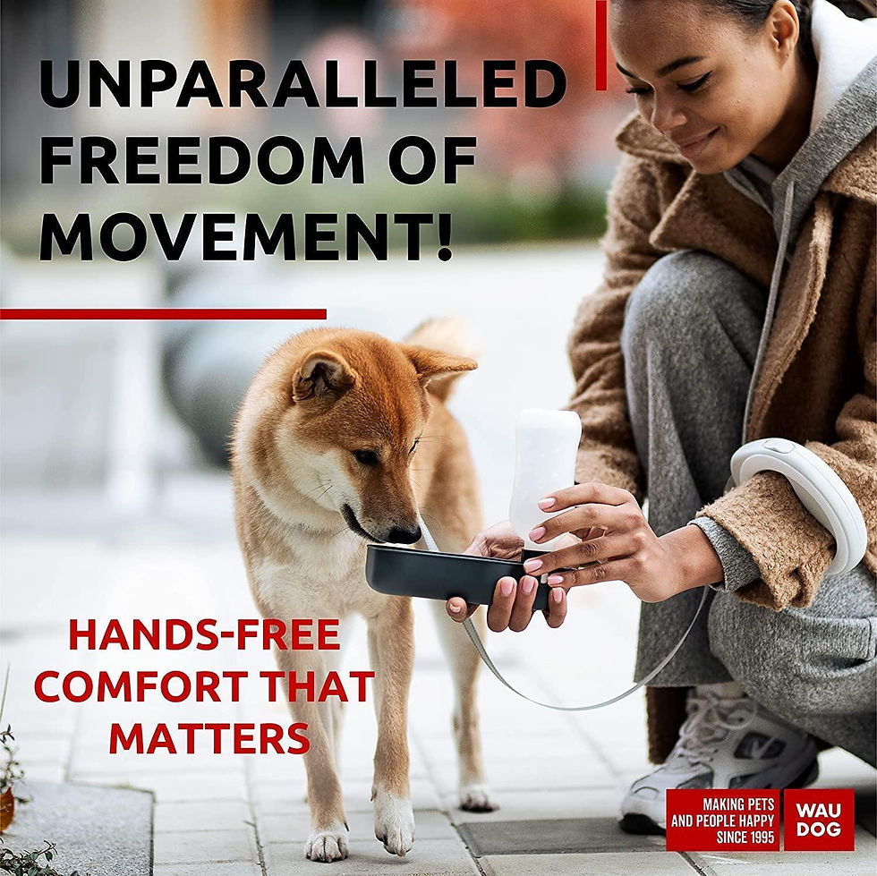 Thumbnail: White Hands Free Retractable Dog Leash for Small Medium and Large Dogs 9.5 Ft