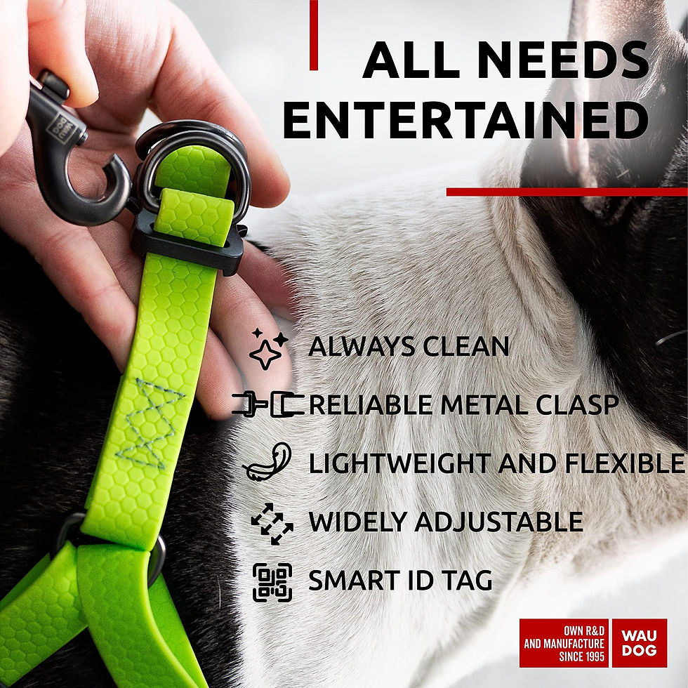 Thumbnail: Green Waterproof Dog Harness Adjustable for Small Dogs S Size 1622 inch