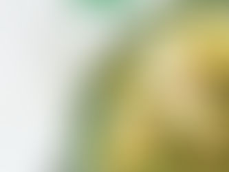 Face à ces désagréments du quotidien, il est temps de redonner à notre ventre l’attention qu’il mérite. Et de lui offrir ce qu’il y a de plus doux, de plus efficace, de plus naturel.        C’est là qu’entre en scène Easy Digest, la petite pépite bien-être signée PureLiink, conçue pour nous aider à digérer mieux, vivre plus léger… et savourer pleinement chaque instant.