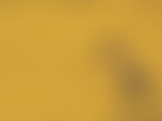 🍂Je fortifie mon Immunité et je gagne en Vitalité