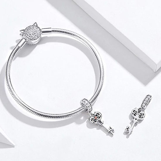 תמונה ממוזערת: TIWIP.co.il | צ'ארם כסף 925 - צ'ארם ירין