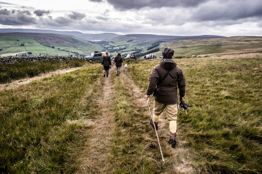 The Glorious 12th - Tetraz, Yorkshire Dales