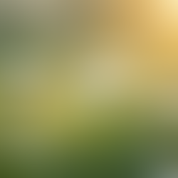 Understanding Menopause: Support for Women in Midlife