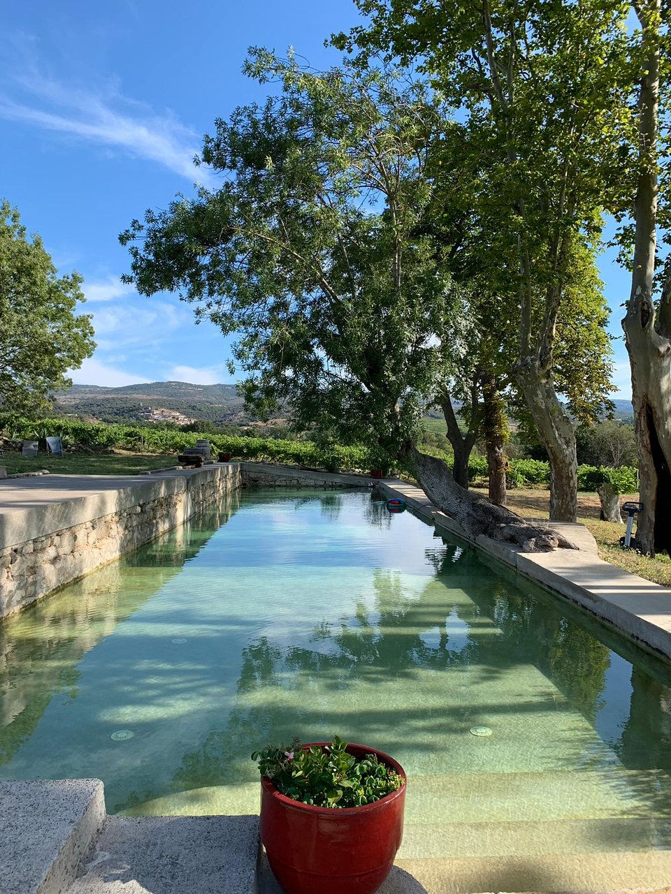 piscine bassin la Villatade minervois Sallèles-Cabardès outdoor cérémonie laïque extérieure