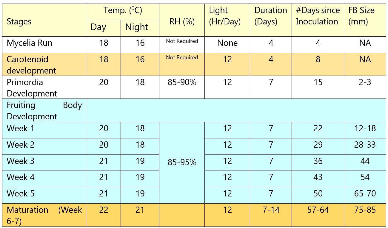 Mushroom for wellness


