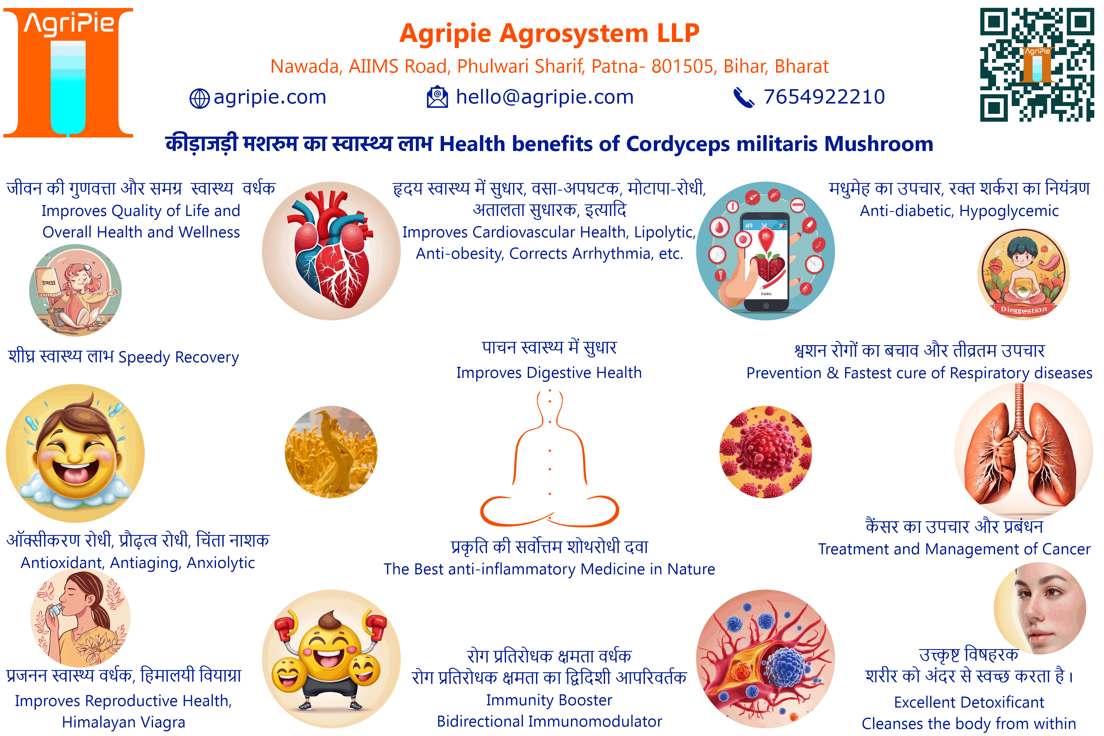 can cordyceps cure asthma
