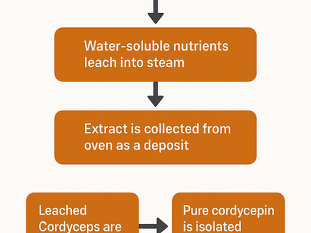 good versus cheap cordyceps