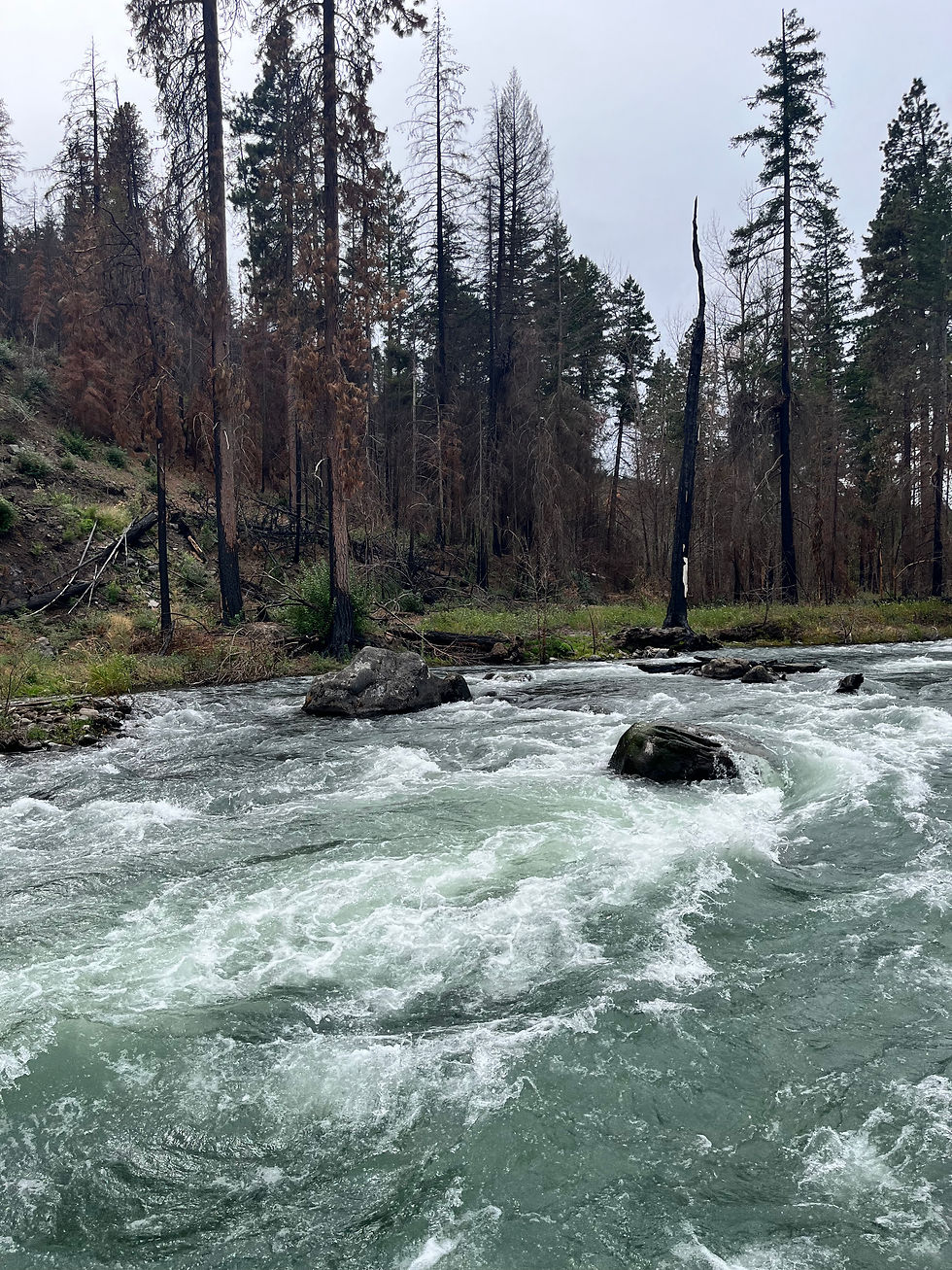 River rapids along Hwy 12 in Washington State